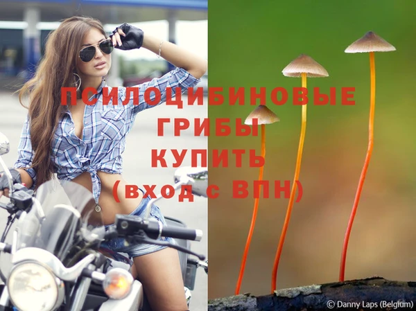 таблы Надым